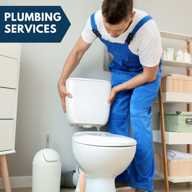 Plumbing Company in Litchfield, MI